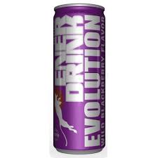 ENERDRINK EVOLUTION MORA 250ML